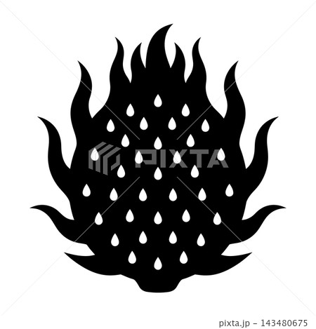 Black silhouette of a stylized dragon fruit icon with spikes and seeds on white background Black silhouette of a stylized dragon fruit icon with spikes and seeds on white background 143480675