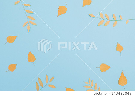 Autumn leaves and branches frame a blue background with elegant seasonal copy space. Autumn leaves and branches frame a blue background with elegant seasonal copy space. 143481045