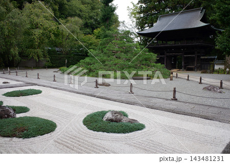 長野県　下諏訪町　慈雲禅寺・石庭と天桂松 143481231