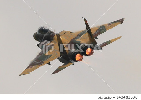 F-15戦闘機（アグレッサー部隊） 143481338