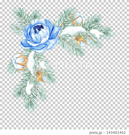 Watercolor Christmas corner border with blue peony, snowy pine branches and cotton isolated, winter floral frame 143481402