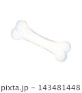 Watercolor white bone from a Halloween skeleton. Cartoon-style bone for biology and science themes. Hand-drawn element of spooky decor. Dog bone. Pet toy. Isolated object for designs and invitations. 143481448