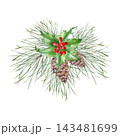 Christmas holly plants with red berries, green leaves, fir branches, and pine cones. Watercolor isolated illustration. Composition for New Year's greeting cards and packaging. 143481699