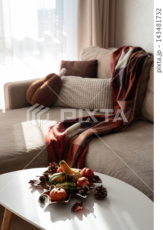 Cozy Autumn Living Room Scene With Pumpkins Decorative Blanket And Pillows 143481732