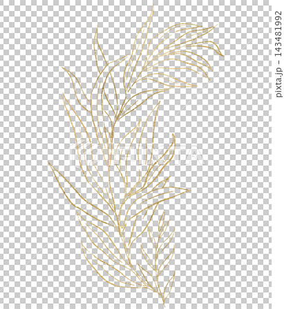 Floral bouquet with golden hand drawn leaves, isolated illustration. Botanical wedding element Floral bouquet with golden hand drawn leaves, isolated illustration. Botanical wedding element 143481992