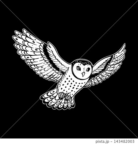Flying Barn Owl Bird Portrait Vector Line Art 143482003