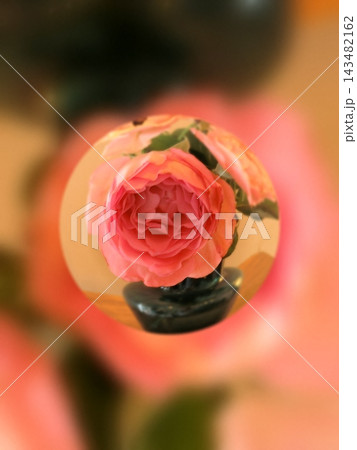 花 143482162