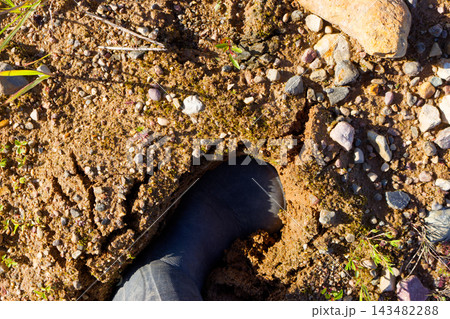 Close-up of a rubber boot stuck deep in thick, wet, cracked mud along a riverbank, capturing the challenging terrain and the messy reality of an outdoor hike or exploration 143482288