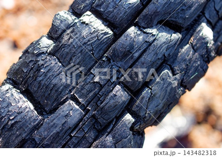 Close-up of a heavily charred wooden log showing deep cracks and textured black coal surface after a forest fire in a natural outdoor environment with a blurred background Close-up of a heavily charred wooden log showing deep cracks and textured black coal surface after a forest fire in a natural outdoor environment with a blurred background 143482318