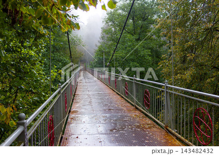 Rusty metal suspension bridge stretching into a mysterious misty forest, capturing a moody autumn atmosphere with wet steel railings and vibrant green trees surrounding the path Rusty metal suspension bridge stretching into a mysterious misty forest, capturing a moody autumn atmosphere with wet steel railings and vibrant green trees surrounding the path 143482432