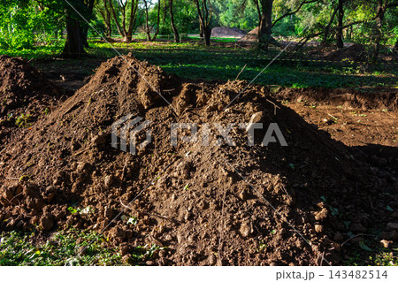 Large piles of fresh dirt and excavated soil from heavy machinery operations during park renovation, showing a landscape undergoing significant earthworks and ground reconstruction Large piles of fresh dirt and excavated soil from heavy machinery operations during park renovation, showing a landscape undergoing significant earthworks and ground reconstruction 143482514