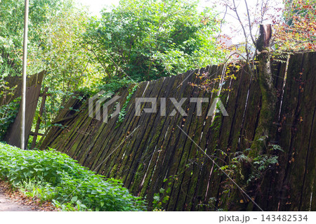 Leaning old wooden fence covered with green moss and weathered boards in a rustic garden setting, creating an abandoned country estate atmosphere on a sunny day Leaning old wooden fence covered with green moss and weathered boards in a rustic garden setting, creating an abandoned country estate atmosphere on a sunny day 143482534