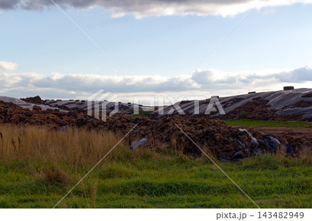 Huge piles of manure covered with black plastic wrap and tires sit in a rural field under a partly cloudy sky Huge piles of manure covered with black plastic wrap and tires sit in a rural field under a partly cloudy sky 143482949