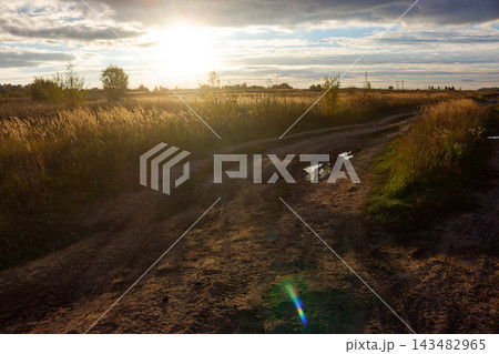 Bright sunset light floods rugged dirt road cutting through wild grassy field, evening sun rays pierce dramatic cloudy sky 143482965