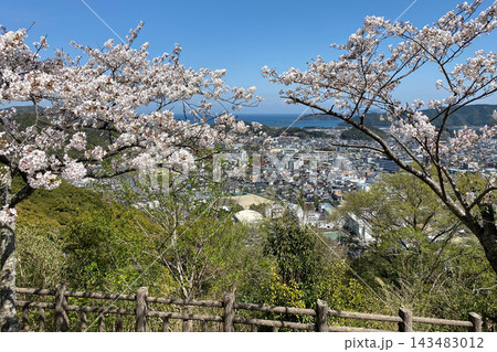 城山登山道からの佐伯市街地眺望 城山登山道からの佐伯市街地眺望 143483012
