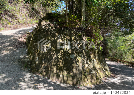 佐伯市　城山登山道 143483024
