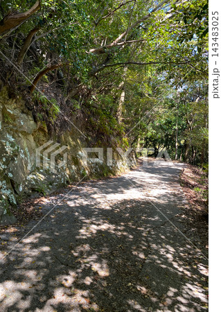佐伯市　城山登山道 143483025