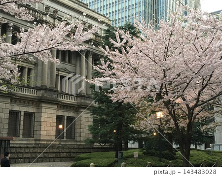 桜 143483028