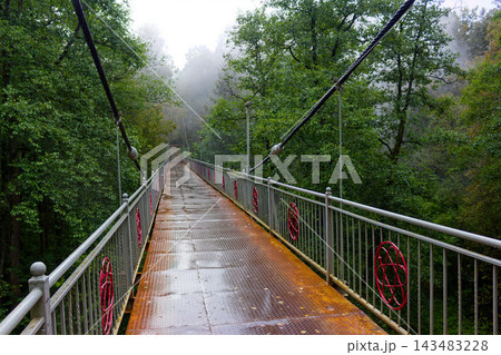 Rusty metal suspension bridge stretching into a misty, dense forest with lush greenery, providing a mysterious and atmospheric perspective for an adventurous outdoor hiking journey 143483228