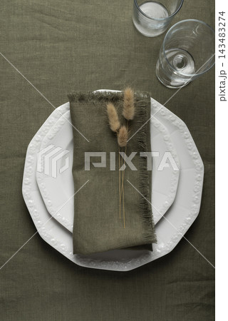 Olive Green Fringed Linen Placemat and Napkin Place Setting 143483274