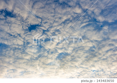Vast blue sky filled with puffy altocumulus clouds creating a textured celestial pattern during a bright day, capturing the soft light and airy atmosphere of a peaceful morning breeze 143483650