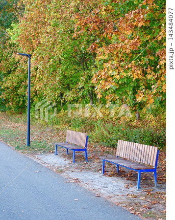 Two wooden benches on an autumn park avenue near vibrant trees. Two wooden benches on an autumn park avenue near vibrant trees. 143484077