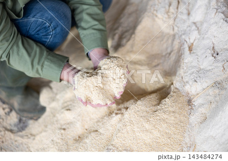 Male hands holding handful of corn germ meal Male hands holding handful of corn germ meal 143484274