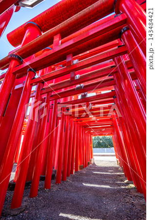 朱色の鳥居が幾重にも重なる日本の伝統風景 143484421