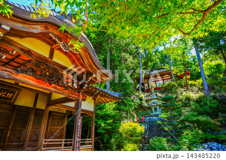 獨鈷山 鏑射寺 獨鈷山 鏑射寺 143485220