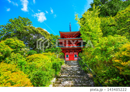 獨鈷山 鏑射寺 143485222