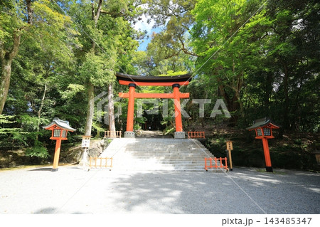 快晴の空と森に覆われる宇佐神社の鳥居(日本 大分県宇佐市) 快晴の空と森に覆われる宇佐神社の鳥居(日本 大分県宇佐市) 143485347