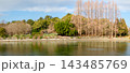冬の公園 143485769