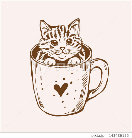 Cute kitten in a cup: Vector brown outline illustration of a cat sitting in a mug, isolated on a beige background. Vintage line sketch Cute kitten in a cup: Vector brown outline illustration of a cat sitting in a mug, isolated on a beige background. Vintage line sketch 143486136