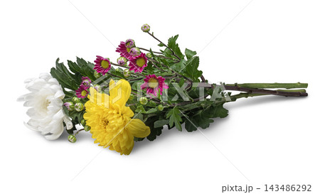 菊の花束 菊の花束 143486292