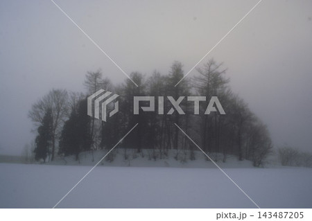 霧に包まれた雪原と冬木立の幻想風景 霧に包まれた雪原と冬木立の幻想風景 143487205