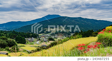 秋の坂折棚田の風景 秋の坂折棚田の風景 143487255