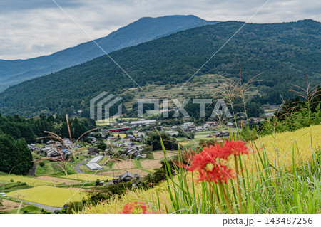 秋の坂折棚田の風景 秋の坂折棚田の風景 143487256