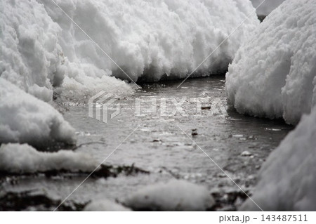 雪解け水が流れる雪の谷間に訪れる春の気配 雪解け水が流れる雪の谷間に訪れる春の気配 143487511
