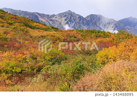 紅葉見頃な八方尾根 紅葉見頃な八方尾根 143488095
