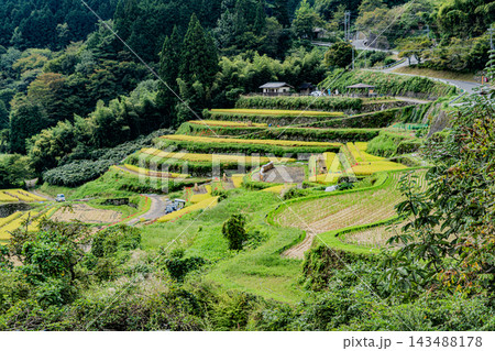 秋の坂折棚田の風景 秋の坂折棚田の風景 143488178