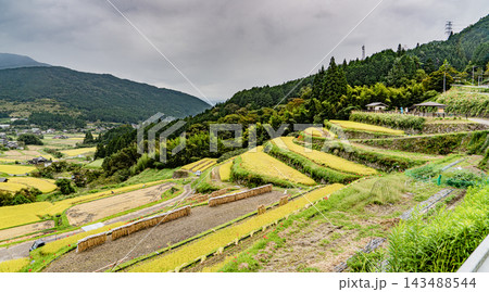 秋の坂折棚田の風景 143488544