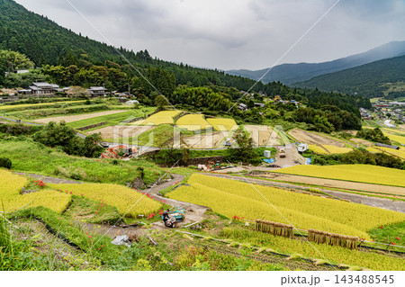 秋の坂折棚田の風景 秋の坂折棚田の風景 143488545