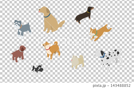 等距插圖:一組不同犬種的插圖 等距插圖:一組不同犬種的插圖 143488852