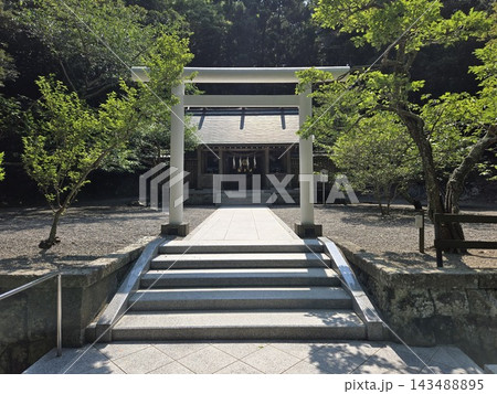 石段の先にある安房神社の拝殿 石段の先にある安房神社の拝殿 143488895