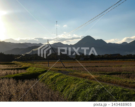 刈り入れを待つ大豆畑と逆光の田園風景とアズマネ山 143488903