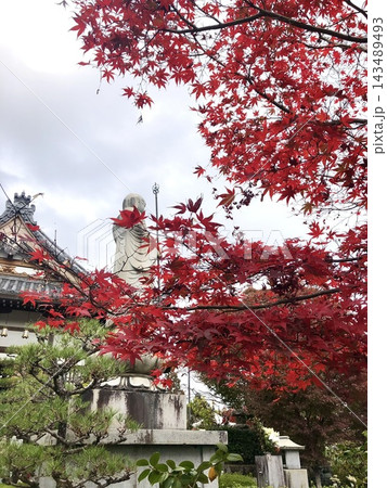 紅葉 紅葉 143489493
