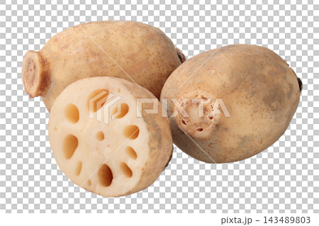 A transparent background image combining a lotus root and a perforated cross-section. 143489803