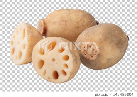 Transparent background image of multiple lotus roots and their perforated cross-sections. Transparent background image of multiple lotus roots and their perforated cross-sections. 143489804