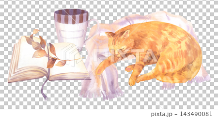 Watercolor illustration of orange tabby cat sleeping on fringed blanket beside open book with dried leaf bookmark and striped mug for cozy home lifestyle image. Watercolor illustration 143490081