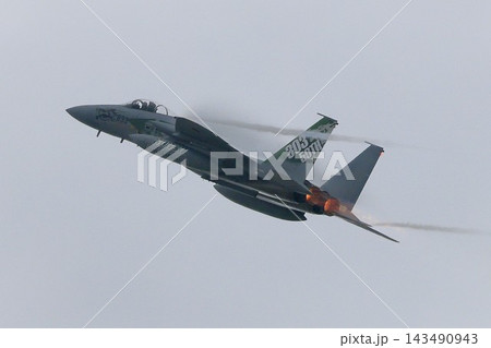 F-15戦闘機(アグレッサー部隊) F-15戦闘機(アグレッサー部隊) 143490943